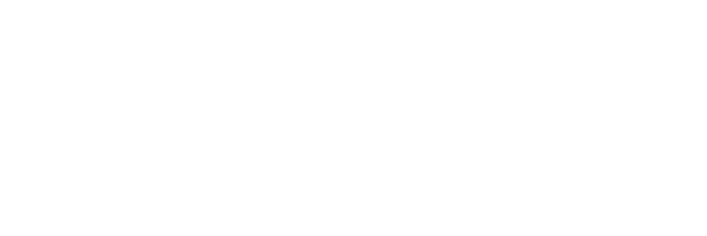 Topicus